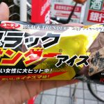 ロイヤル食品 ブラックサンダーアイス