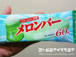 赤城乳業 メロンバー クリームソーダ味
