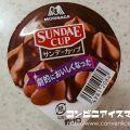 森永製菓 サンデーカップ