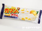 赤城乳業　ガツン、と みかん　バニラヨーグルト味