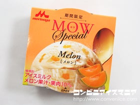 森永乳業 MOW (モウ) スペシャル メロン