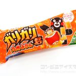 赤城乳業 ガリガリ君 九州みかん