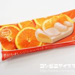 ミニストップ 贅沢なオレンジシャーベット