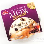 森永乳業 MOW (モウ) スペシャル ラムレーズン