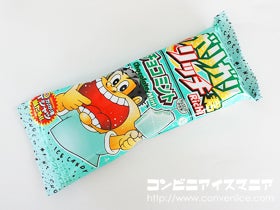 赤城乳業 ガリガリ君リッチ チョコミント