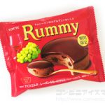 ロッテ ラミーチョコアイス