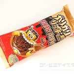 赤城乳業 ガリガリ君リッチ チョコチョコチョコチップ