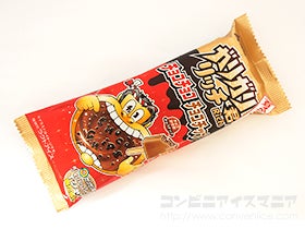 赤城乳業 ガリガリ君リッチ チョコチョコチョコチップ