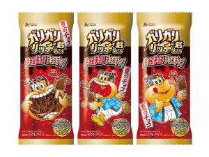 赤城乳業 ガリガリ君リッチ チョコチョコチョコチップ