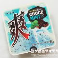 ロッテ 爽 チョコミント