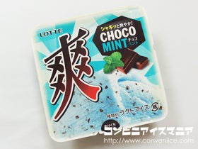 ロッテ 爽 チョコミント