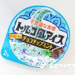 ロッテ トルコ風アイス チョコチップミント