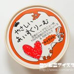 サンオーネスト やさしいあいすくりーむ　キャラメル