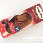 ハーゲンダッツ メルティーバー リッチショコラ