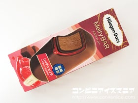 ハーゲンダッツ メルティーバー リッチショコラ