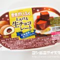 ロッテ 雪見だいふく とろける生チョコレート