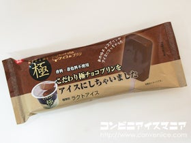 アンデイコ こだわり極チョコプリンをアイスにしちゃいました