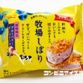 グリコ 牧場しぼり ブルーベリーチーズケーキ