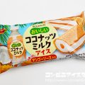 ブルボン　おいしいココナッツミルクアイス