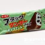 セリア・ロイル ブラックサンダーチョコミントアイス