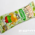 赤城乳業 ガリガリ君リッチ ピスタチオ味