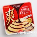 ロッテ 爽 とろける生チョコレート in バニラ