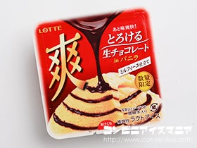 ロッテ 爽 とろける生チョコレート in バニラ