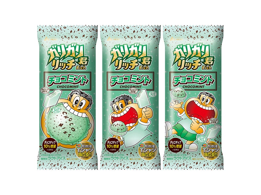 赤城乳業 ガリガリ君リッチ チョコミント