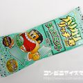 赤城乳業 ガリガリ君リッチ チョコミント