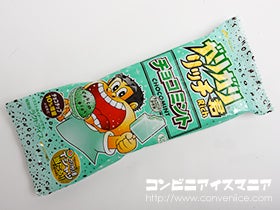 赤城乳業 ガリガリ君リッチ チョコミント