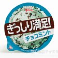 グリコ ぎっしり満足！チョコミント