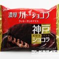 グリコ ガトーショコラ クッキーサンドアイス