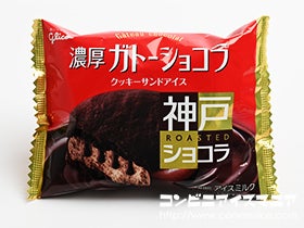 グリコ ガトーショコラ クッキーサンドアイス