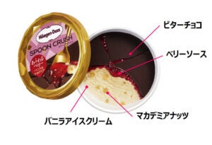 ハーゲンダッツ ミニカップ SPOON CRUSH （スプーン クラッシュ）