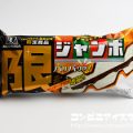 森永製菓 チョコモナカジャンボ＜限＞