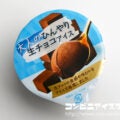 赤城乳業 大人のひんやり生チョコアイス