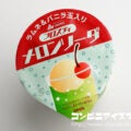 赤城乳業 フロスティ メロンソーダ