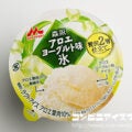 森永乳業 森永アロエヨーグルト味氷