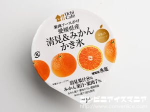ウチカフェ 日本のフルーツ 愛媛県産清見＆みかんかき氷