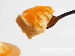 ウチカフェ 日本のフルーツ 愛媛県産清見＆みかんかき氷