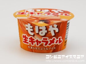 赤城乳業 もはや生キャラメルを凍らせたようなアイス