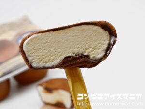ロッテ アイスまるごと生チョコ包み バニラ