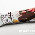 アンデイコ ほぼ生チョコアイスバー