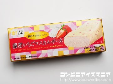 ウチカフェ 贅沢チョコレートバー 濃密いちごマスカルポーネ