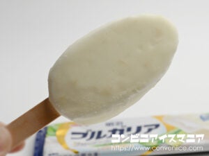 明治ブルガリア フローズンヨーグルトデザート アロエ