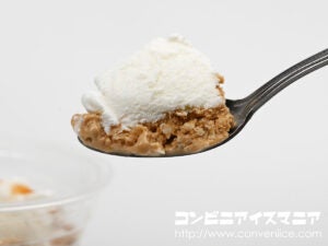 森永製菓 午後の紅茶 フローズンティーラテ