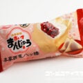 丸永製菓 あいすまんじゅう 本家西尾八ッ橋