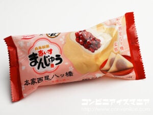 丸永製菓 あいすまんじゅう 本家西尾八ッ橋