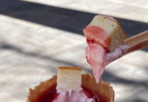 ミニストップ「プレミアム とちあいか® ソフト -チーズケーキのせ-」