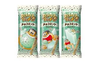 赤城乳業 ガリガリ君リッチ チョコミント